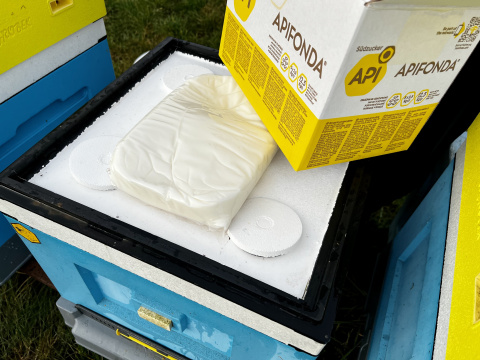 Apifonda - fondant pszczeli 2,50 kg, ciasto do podkarmiania pszczół Apifonda - fondant pszczeli 2,50 kg, ciasto do podkarmiania pszczół