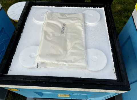 Diamant ciasto dla pszczół z prebiotykiem 15 x 1kg Diamant ciasto dla pszczół z prebiotykiem 15 x 1kg
