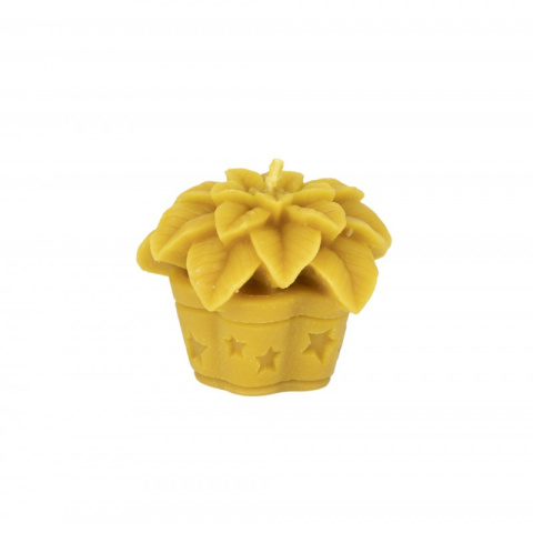 Forma Silikonowa - Gwiazda Betlejemska