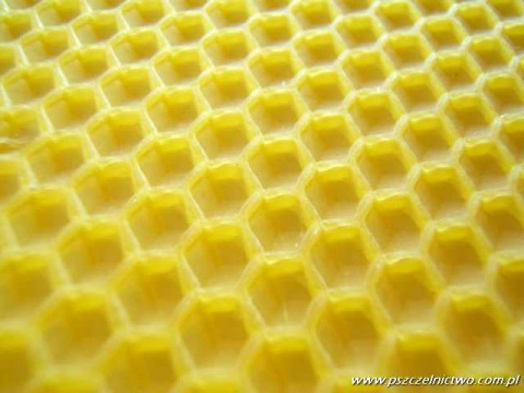 Węza Ostrowskiej 1 kg Węza Ostrowskiej 1 kg