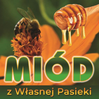 Baner reklamowy zielony z pszczołą 1x1m