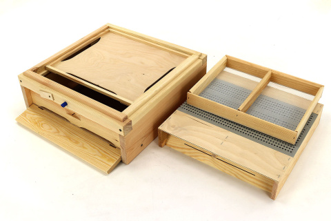 Dennica wysoka z poławiaczem pyłku i siatką do osypu warrozy- wielkopolska