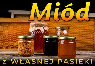 Tablica informacyjna mała Słoiczki z miodami i pyłkiem na tle ramek z węzą
