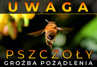 Tablica ostrzegawcza duża Pszczoła z tyłu